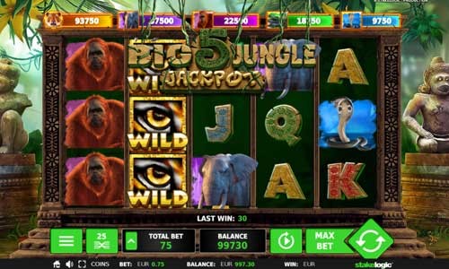 Big jungle slot